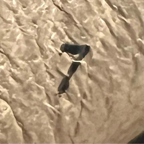 John Fluevog Warde Black Leather Oxford Unisex Handcrafted Shoes Men’s 7 Women 9 - Picture 14 of 16